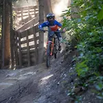 Weixl Schi&bike Appartements-bike In&bike Out Neben Wexl Trails Bikepark