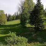 Bed & Breakfast Weixl Schi&bike Appartements-bike In&bike Out Neben Wexl Trails Bikepark 3*