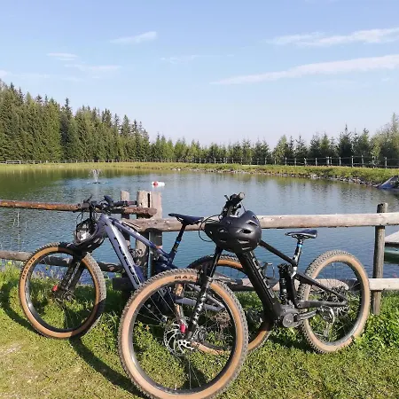 Weixl Schi&bike Appartements-bike In&bike Out Neben Wexl Trails Bikepark 3*