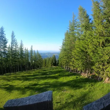 Bed & Breakfast Weixl Schi&bike Appartements-bike In&bike Out Neben Wexl Trails Bikepark 3*