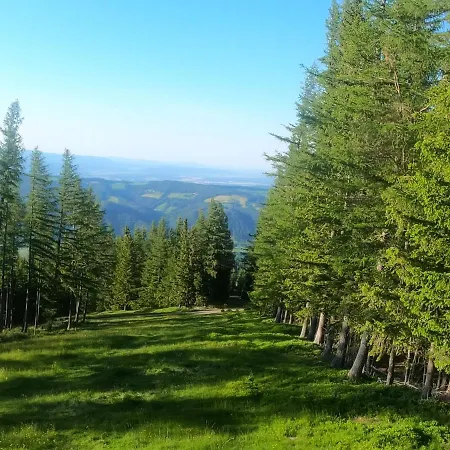 Weixl Schi&bike Appartements-bike In&bike Out Neben Wexl Trails Bikepark Bed & Breakfast