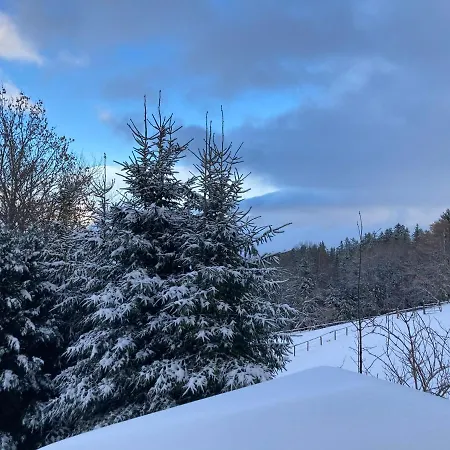 Weixl Schi&bike Appartements-bike In&bike Out Neben Wexl Trails Bikepark Bed & Breakfast