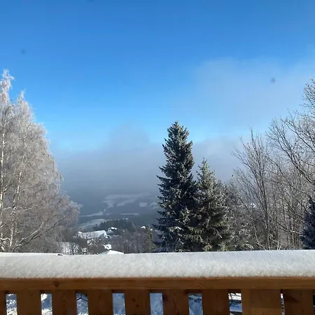 Weixl Schi&bike Appartements-bike In&bike Out Neben Wexl Trails Bikepark 3*