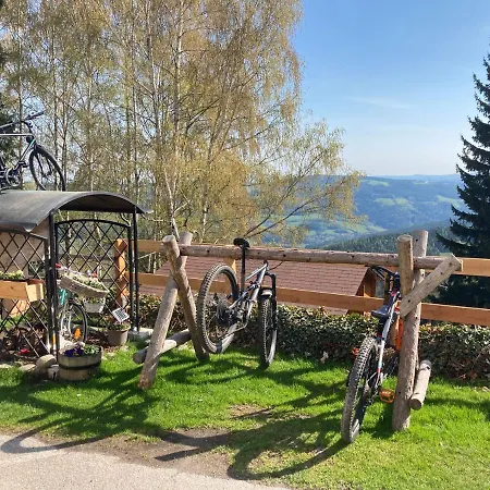 לינה וארוחת בוקר Weixl Schi&bike Appartements-bike In&bike Out Neben Wexl Trails Bikepark *