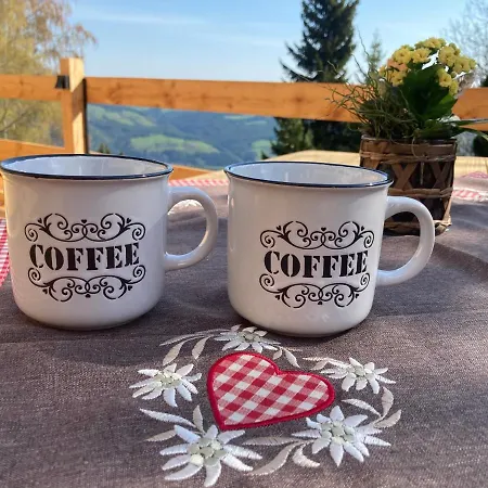 Bed & Breakfast Weixl Schi&bike Appartements-bike In&bike Out Neben Wexl Trails Bikepark