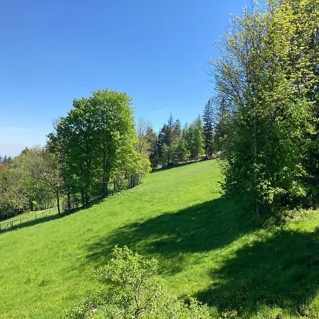 Weixl Schi&bike Appartements-bike In&bike Out Neben Wexl Trails Bikepark Bed & Breakfast Sankt Corona am Wechsel