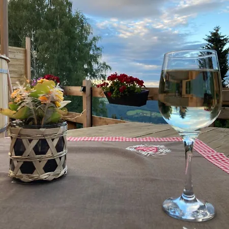 Bed & Breakfast Weixl Schi&bike Appartements-bike In&bike Out Neben Wexl Trails Bikepark Sankt Corona am Wechsel