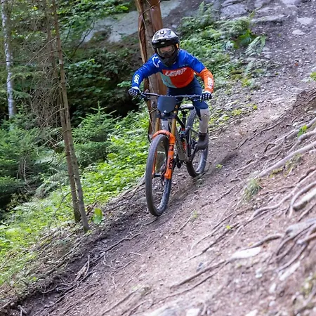 فندق مبيت وإفطار Weixl Schi&bike Appartements-bike In&bike Out Neben Wexl Trails Bikepark