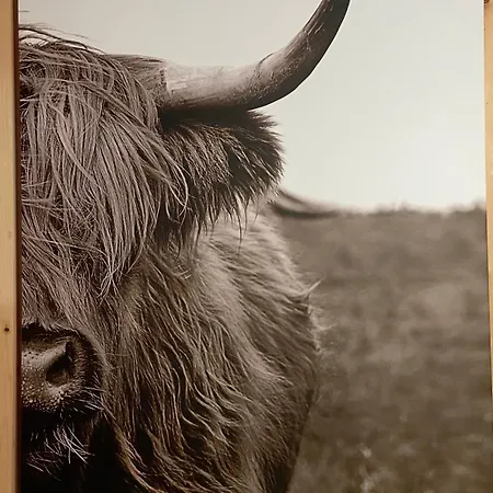 Weixl Schi&bike Appartements-bike In&bike Out Neben Wexl Trails Bikepark Bed & Breakfast Sankt Corona am Wechsel