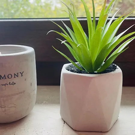 Bed & Breakfast Weixl Schi&bike Appartements-bike In&bike Out Neben Wexl Trails Bikepark 3*