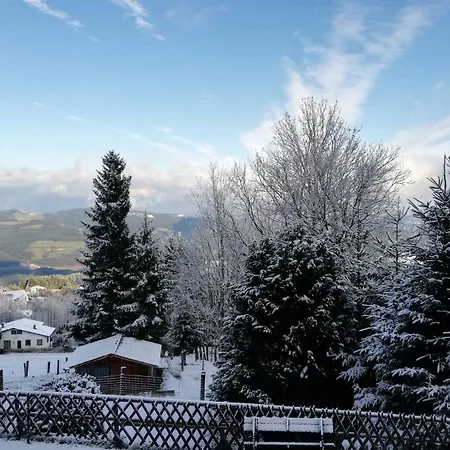 Weixl Schi&bike Appartements-bike In&bike Out Neben Wexl Trails Bikepark 3*