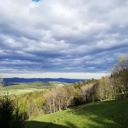 Weixl Schi&bike Appartements-bike In&bike Out Neben Wexl Trails Bikepark 3*