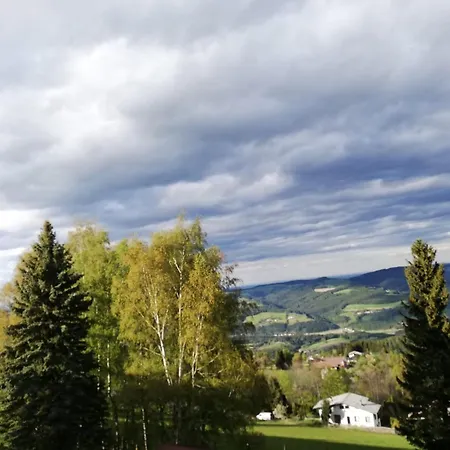 Weixl Schi&bike Appartements-bike In&bike Out Neben Wexl Trails Bikepark 3*