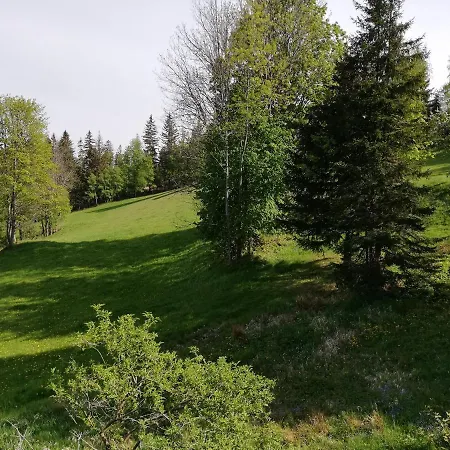 Bed and Breakfast Weixl Schi&bike Appartements-bike In&bike Out Neben Wexl Trails Bikepark *