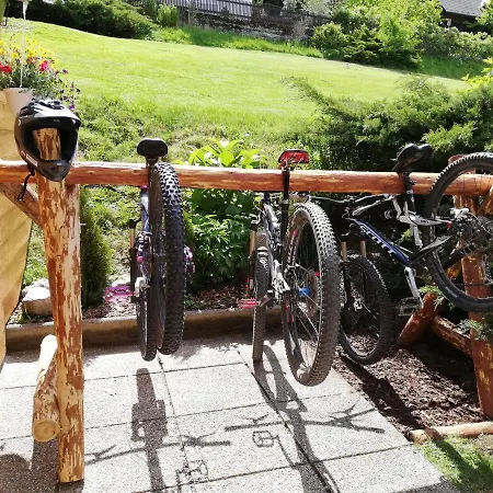 Weixl Schi&bike Appartements-bike In&bike Out Neben Wexl Trails Bikepark Bed and Breakfast