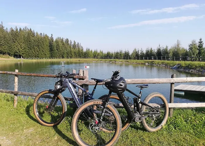 Weixl Schi&bike Appartements-bike In&bike Out Neben Wexl Trails Bikepark 3*