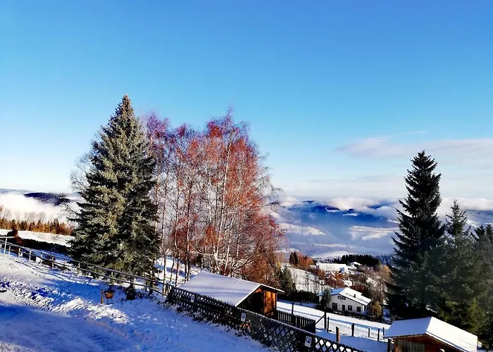 Weixl Schi&bike Appartements-bike In&bike Out Neben Wexl Trails Bikepark