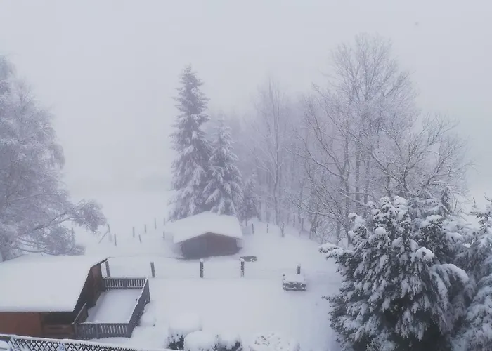 Weixl Schi&bike Appartements-bike In&bike Out Neben Wexl Trails Bikepark Sankt Corona am Wechsel