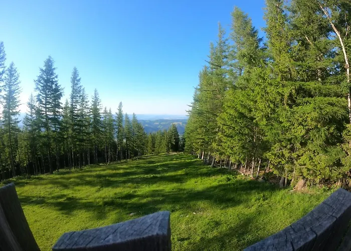 Bed & Breakfast Weixl Schi&bike Appartements-bike In&bike Out Neben Wexl Trails Bikepark 3*