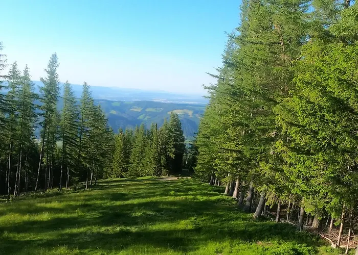 Weixl Schi&bike Appartements-bike In&bike Out Neben Wexl Trails Bikepark Bed & Breakfast