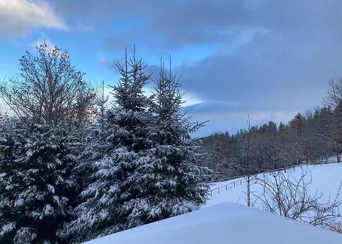 Weixl Schi&bike Appartements-bike In&bike Out Neben Wexl Trails Bikepark Bed & Breakfast