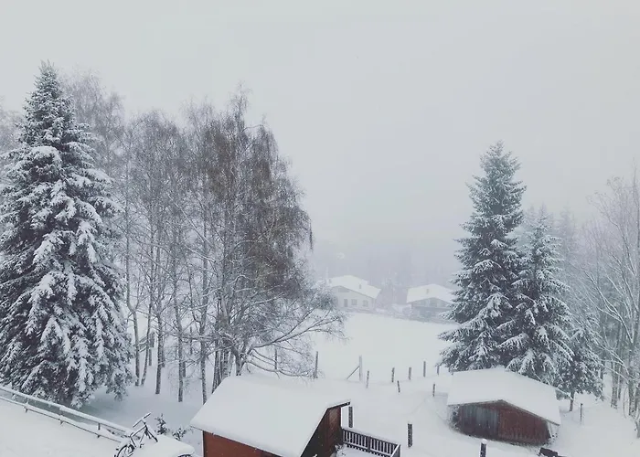 Bed & Breakfast Weixl Schi&bike Appartements-bike In&bike Out Neben Wexl Trails Bikepark 3*