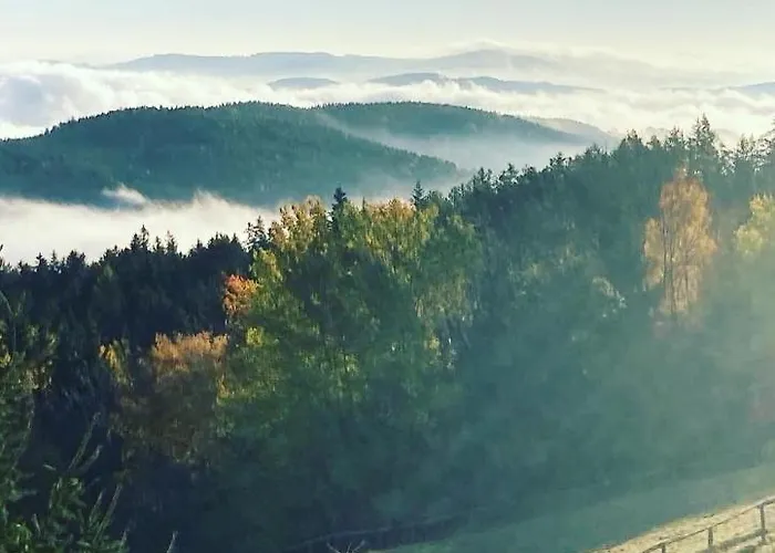 Weixl Schi&bike Appartements-bike In&bike Out Neben Wexl Trails Bikepark 3* Sankt Corona am Wechsel