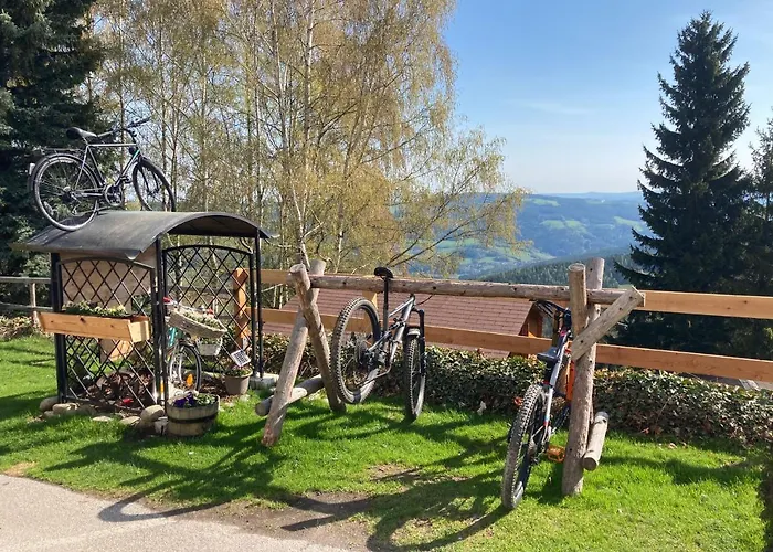 Bed & Breakfast Weixl Schi&bike Appartements-bike In&bike Out Neben Wexl Trails Bikepark 3*