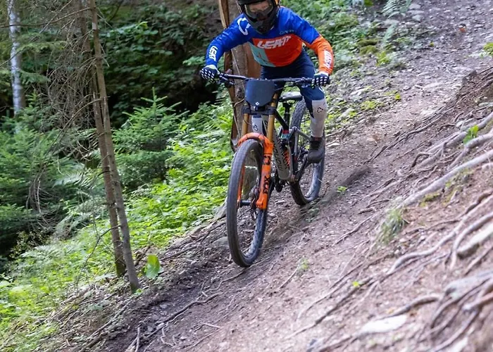 Bed & Breakfast Weixl Schi&bike Appartements-bike In&bike Out Neben Wexl Trails Bikepark