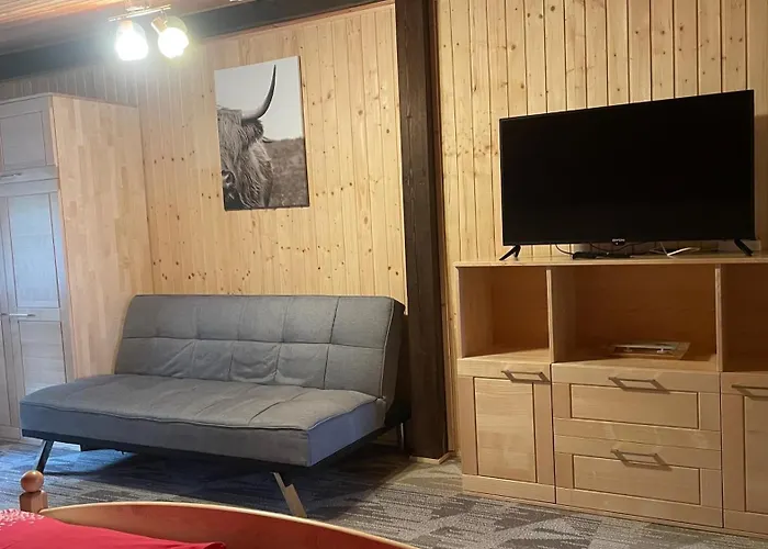 Bed & Breakfast Weixl Schi&bike Appartements-bike In&bike Out Neben Wexl Trails Bikepark