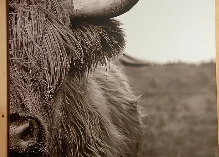 Weixl Schi&bike Appartements-bike In&bike Out Neben Wexl Trails Bikepark Bed & Breakfast Sankt Corona am Wechsel