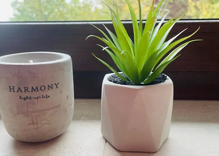 Bed & Breakfast Weixl Schi&bike Appartements-bike In&bike Out Neben Wexl Trails Bikepark 3*