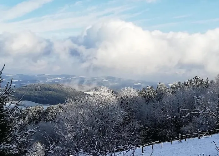 Bed & Breakfast Weixl Schi&bike Appartements-bike In&bike Out Neben Wexl Trails Bikepark