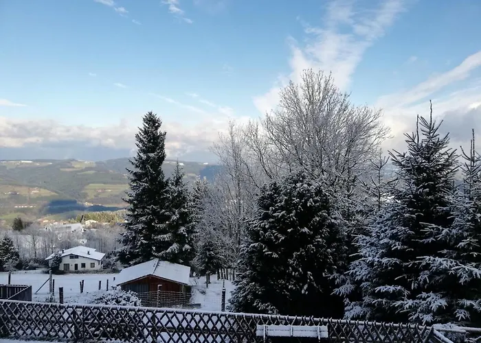 Weixl Schi&bike Appartements-bike In&bike Out Neben Wexl Trails Bikepark 3*