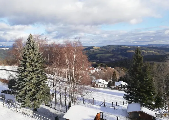 Weixl Schi&bike Appartements-bike In&bike Out Neben Wexl Trails Bikepark 3* Sankt Corona am Wechsel