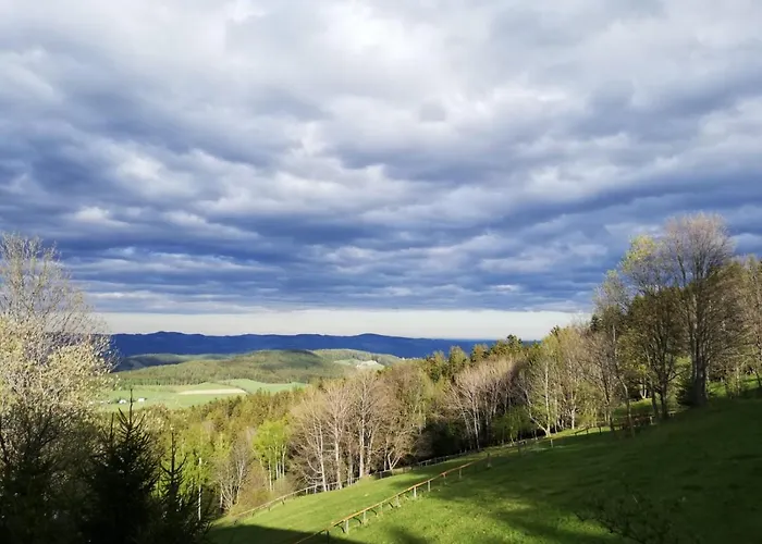 Weixl Schi&bike Appartements-bike In&bike Out Neben Wexl Trails Bikepark 3*