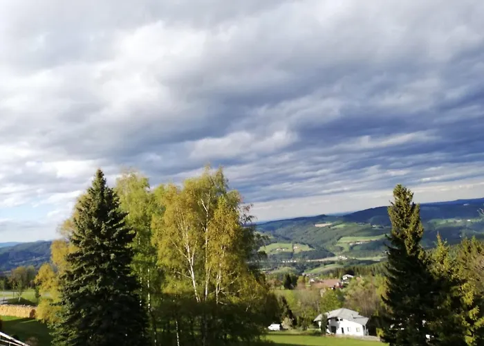 Weixl Schi&bike Appartements-bike In&bike Out Neben Wexl Trails Bikepark 3*