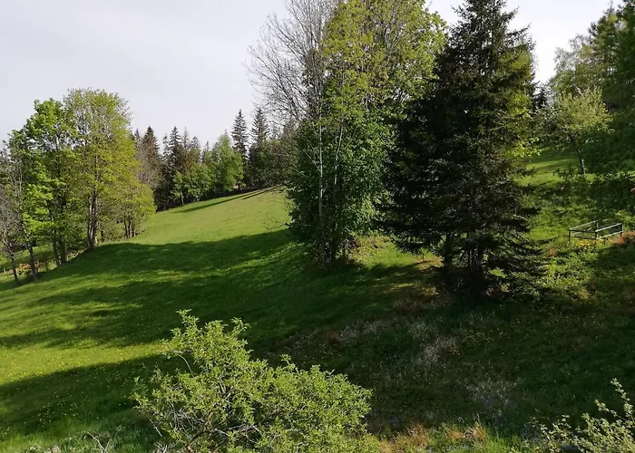 Bed & Breakfast Weixl Schi&bike Appartements-bike In&bike Out Neben Wexl Trails Bikepark 3*